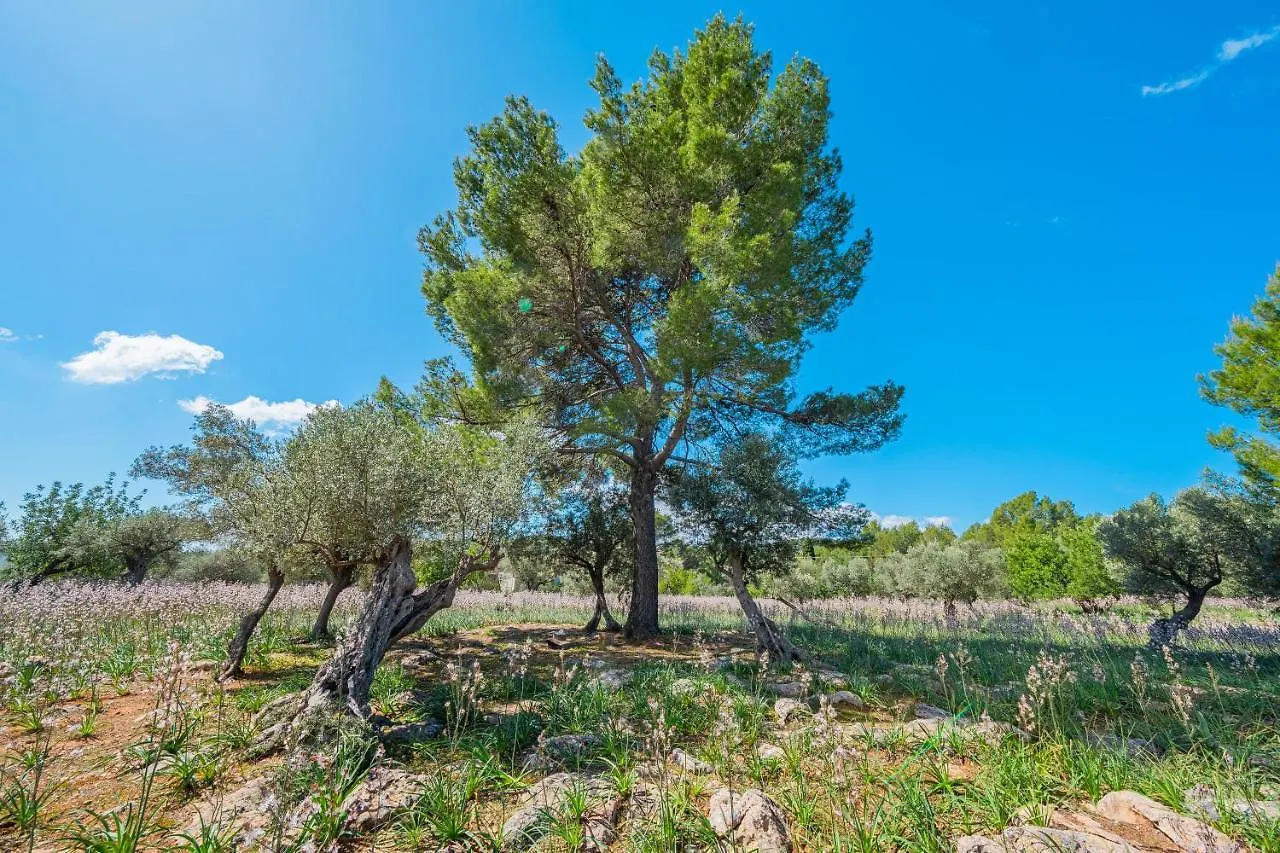 Ca Na Barons Villa Bunyola