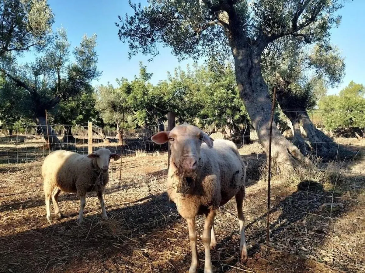 Ca Na Barons Villa Bunyola